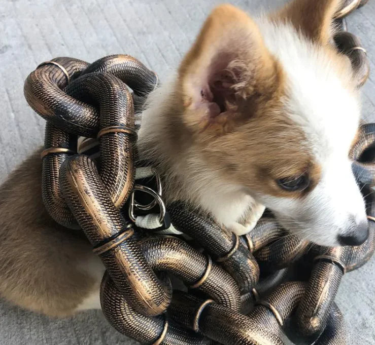 Dog Leash Iron Chain