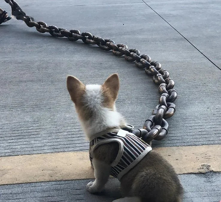 Dog Leash Iron Chain