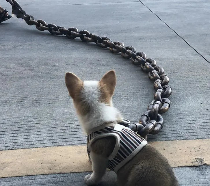 Dog Leash Iron Chain